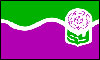 South Yorkshire flag
