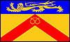 Staffordshire flag