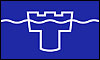 Tyne and Wear flag