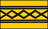 West Midlands flag