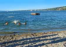 View showing the lakefront beach
