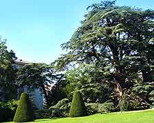 Photo of topiary at the Parc de Beaulieu