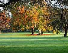 Picture of the Parc Bertrand in the fall