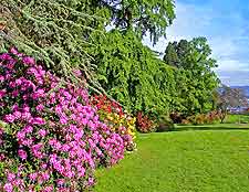 Photo of rhododendron flowers at Parc de la Grange