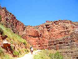 Grand Canyon Gardensindia