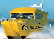 Photo of the yellow Bumblebee Boat