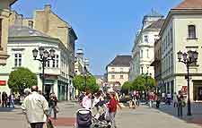Picture of shoppers in the city
