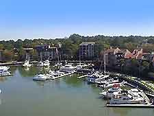 Hilton Head View