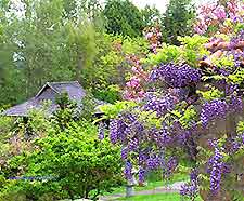 Hobart Gardens