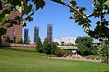 Houston Aquarium View