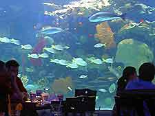 Houston Dining Aquarium2