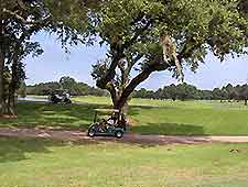 Houston Golf Courses1