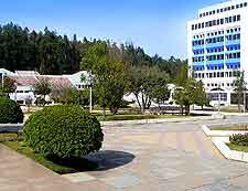 Picture of central plaza