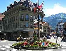 Picture of planted roundabout and signposts