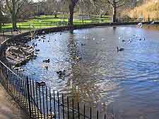 Picture of Ipswich's Christchurch Park