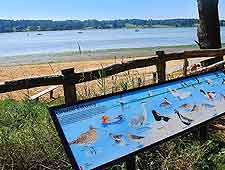 Orwell Country Park image, taken in the summer months