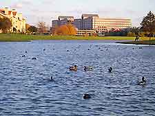 Irving Jefferson Park3