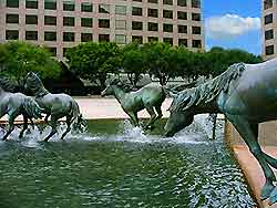 Irving Las Colinas