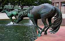 Irving Las Colinas2
