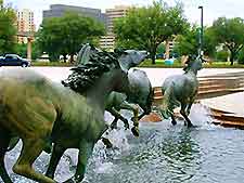 Irving Las Colinas3
