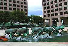 Irving Las Colinas4