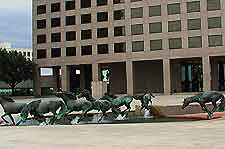 Irving Las Colinas6