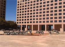 Picture of the famous Mustangs at Las Colinas