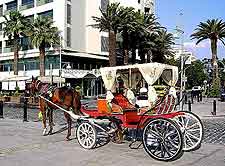 Photo of horse and carriage ride, awaiting passengers