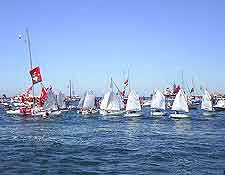 Picture of sailing festival
