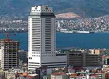 Picture of high-rise apartments and coastline