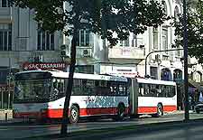 Image of local buses