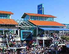 Jacksonville Festival2