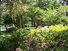 Jacksonville Memorial Park