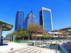Jacksonville Skyline Downtn