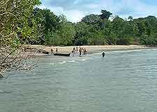 Different picture of the Ujung Kulon National Park