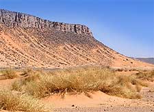 Photo showing the Sahara Desert