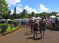 Picture taken at the Koloa Market