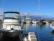 Photo of Whale Watching boats