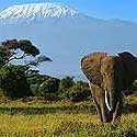 Kenya
