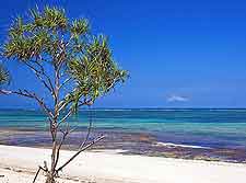 Further picture of Diani Beach