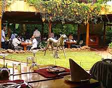 View of the popular Carnivore Restaurant in Nairobi