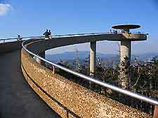 Knoxville Clingmans Dome