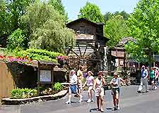 Knoxville Dollywood Mill