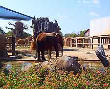 Knoxville Zoo2