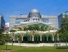 Park picture