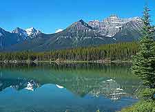 Photo of the breaktaking Icefields Parkway