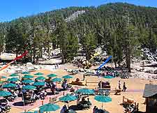 View from the Heavenly Gondola