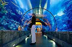 Las Vegas Attractions for Children