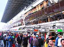 Photo of crowds at the Paddock