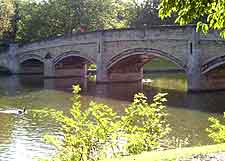 Scene of Leicester's Abbey Park